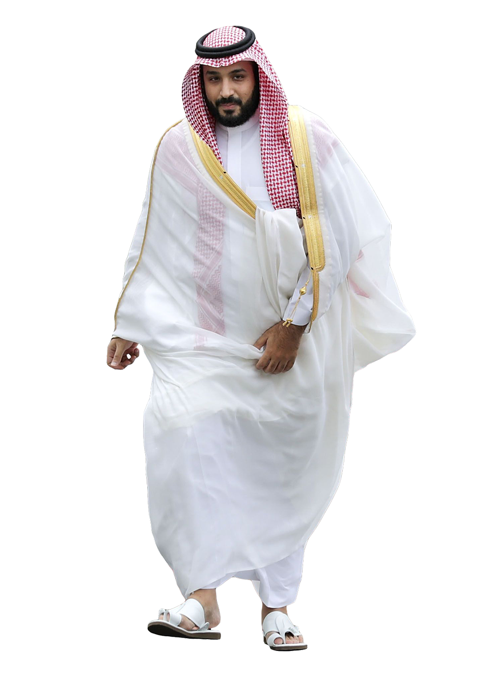 بن سلمان محمد محمد بن