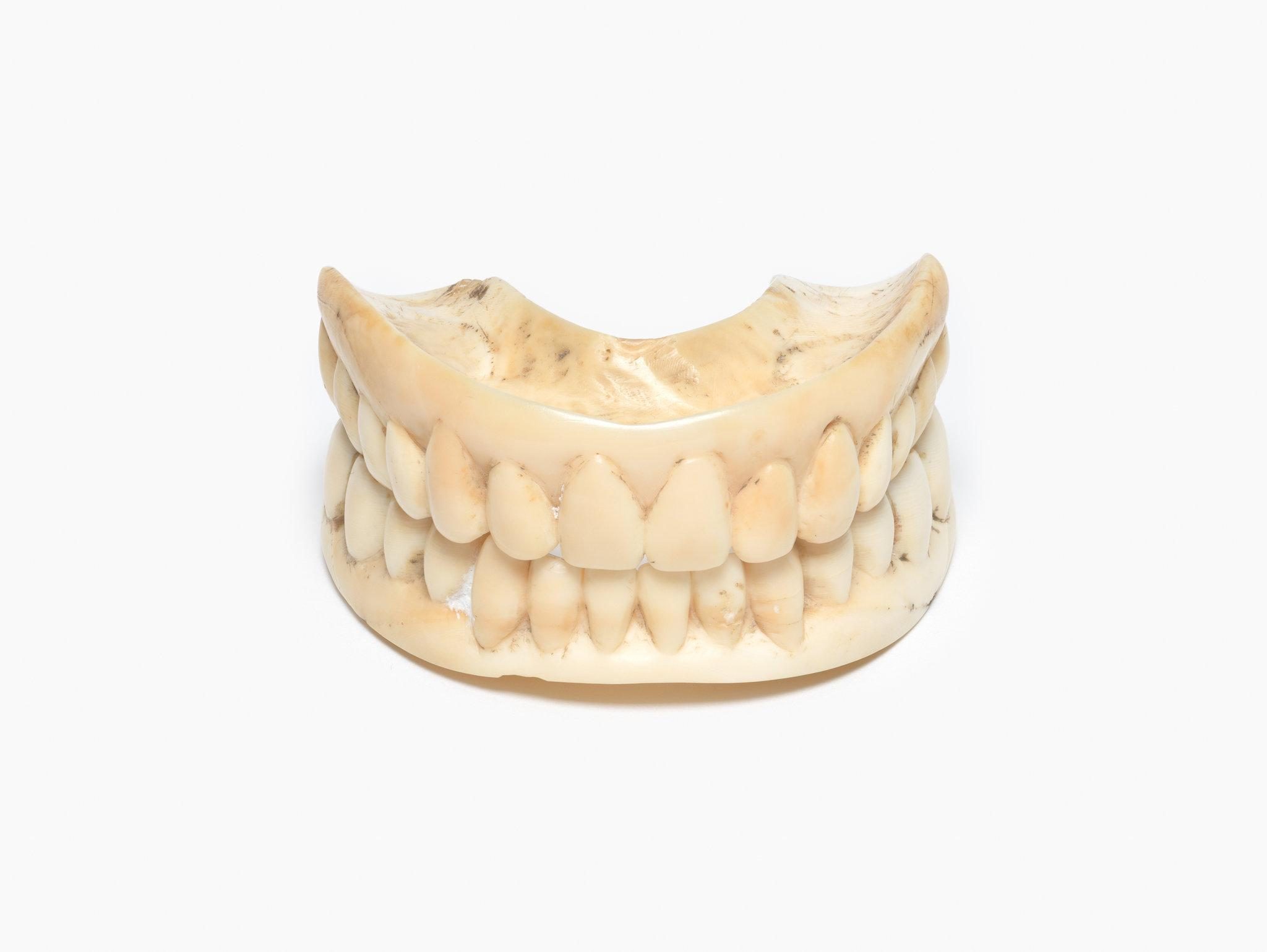 Являются ли зубы костью. Строение зубной системы. Зубы человека анатомия. Части зуба. Являются ли зубы костью.