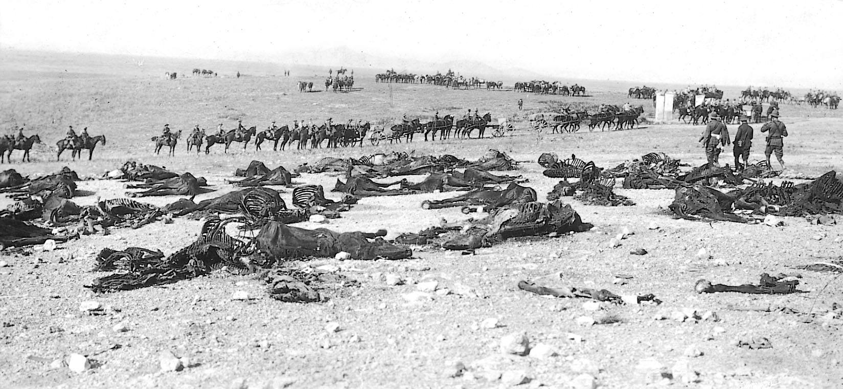 اعترف الإسبان بأنهم خسروا في معركة أنوال 15 ألف قتيل و570 أسيراً
