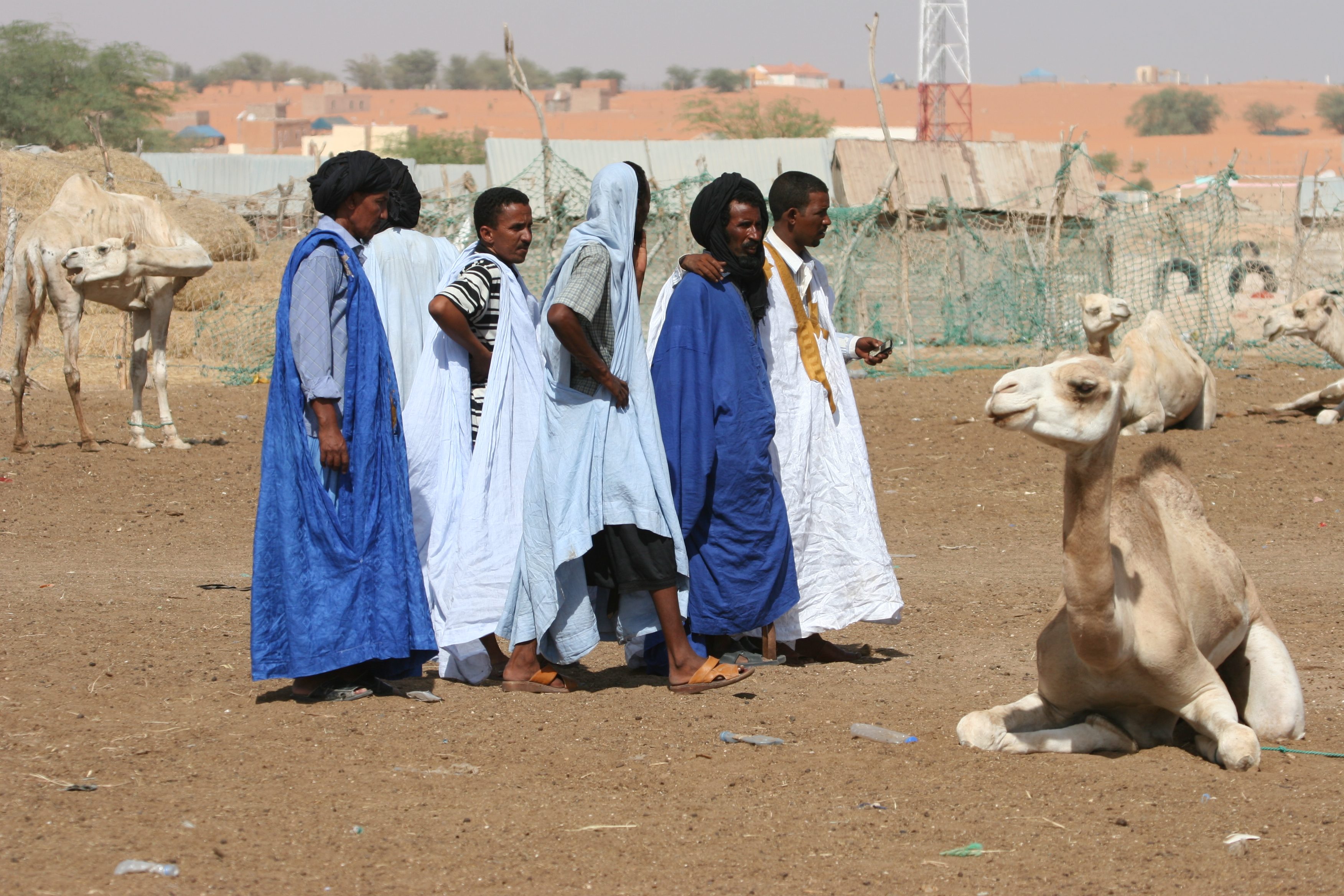 خطاب التحريض بين الصحراويين والموريتانيين.. إلى أين؟