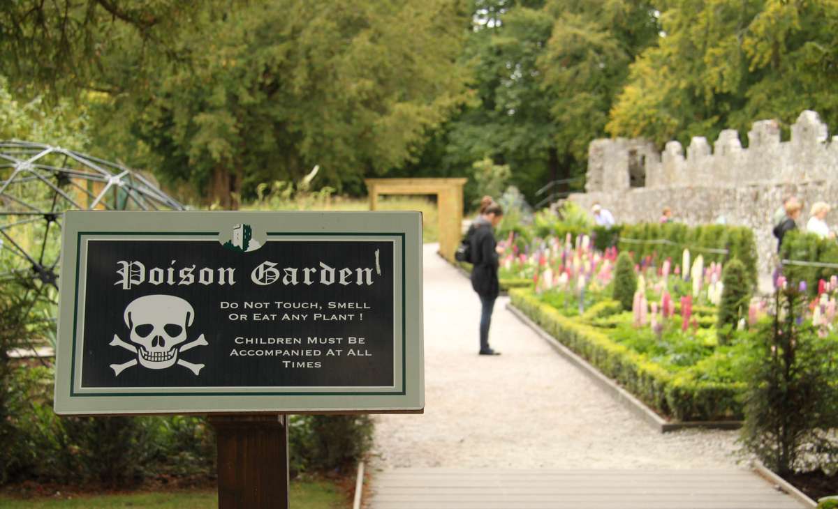 .. poison-garden.jpg