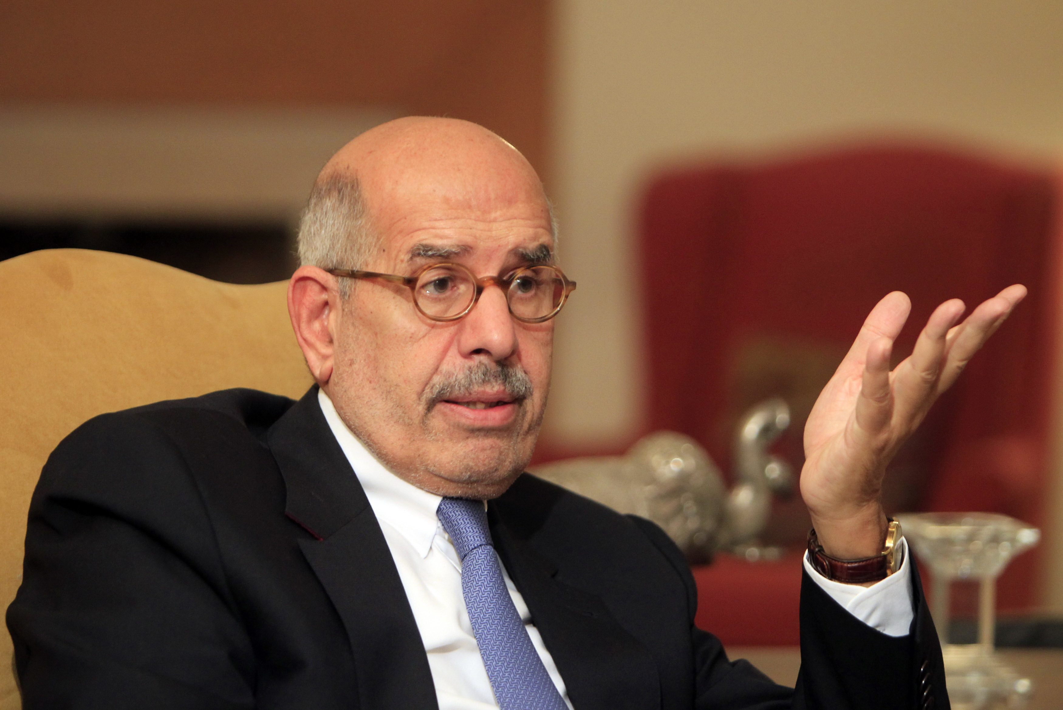 السياسي المصري البارز، محمد البرادعي/ رويترز