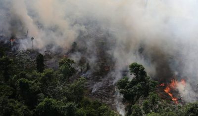 حرائق غابات الأمازون نتائج مأساوية والبشر هم الملامون عربي بوست