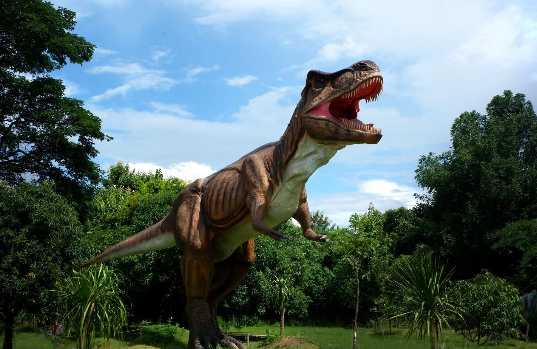اكتشاف "ملك الديناصورات" الأصلي! حيوان مخيف من أقوى الضواري التي عاشت على الإطلاق Istock-836594752