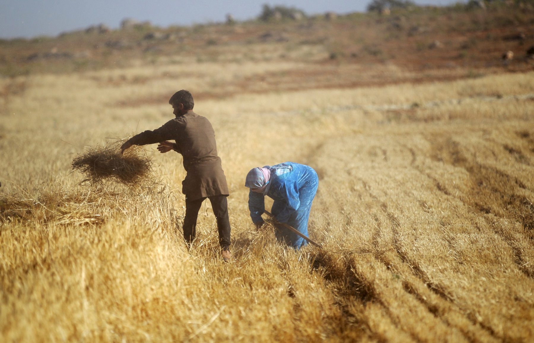 الفلاحين في إدلب/ رويترز
