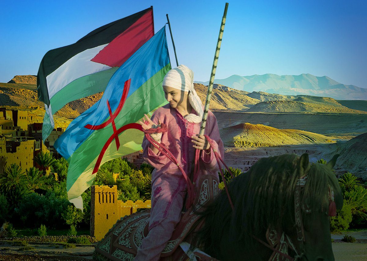 حاربوا الاحتلال بالشعر وحفروها في وجدانهم.. كيف نصر الأمازيغ القضية الفلسطينية؟