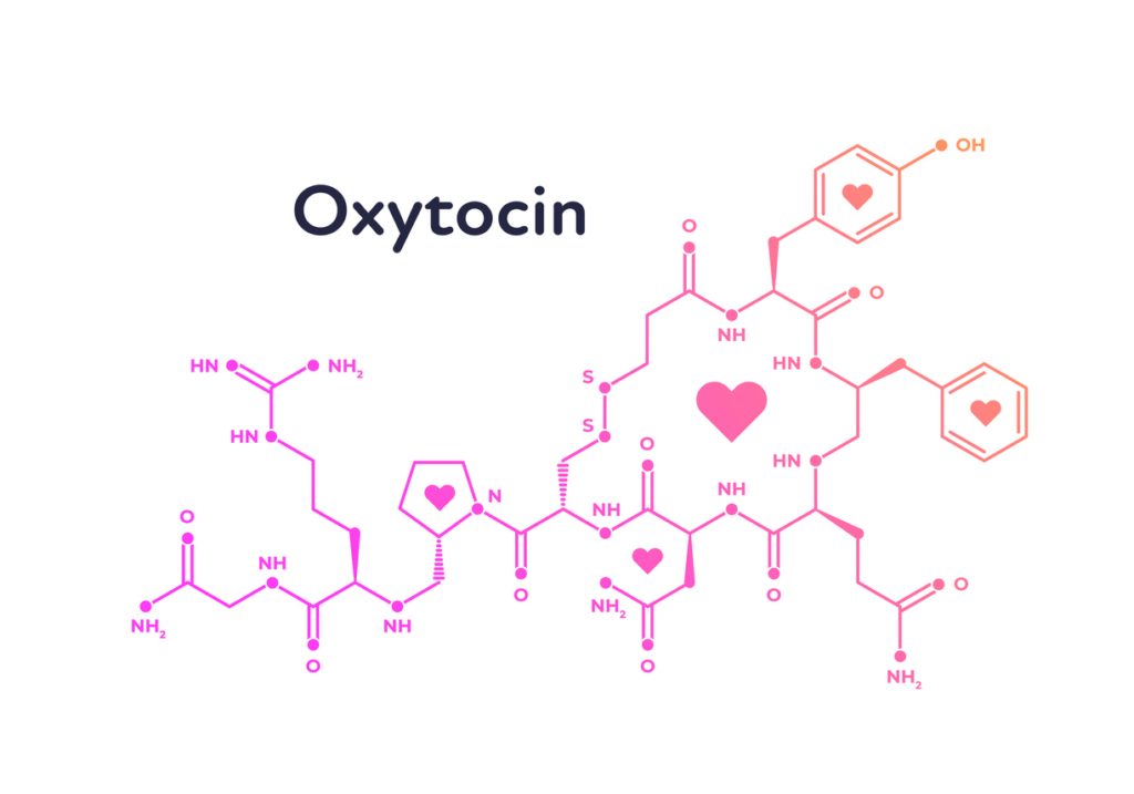 الأوكسيتوسين: (بالإنجليزية: Oxytocin)  (IStock)