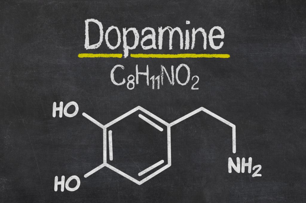 الدوبامين: (بالإنجليزية: Dopamine)  (IStock)