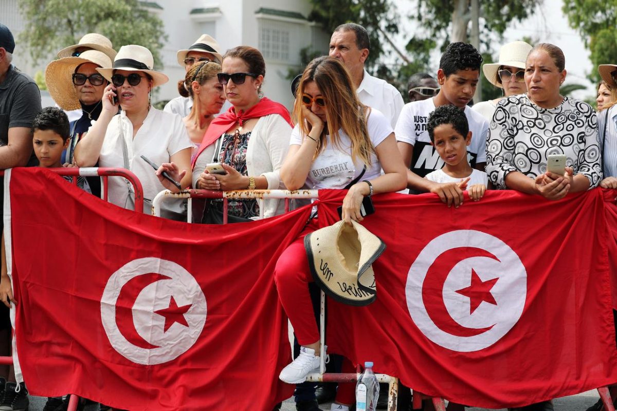 ثورة الياسمين التونسية تونس الدول العربية