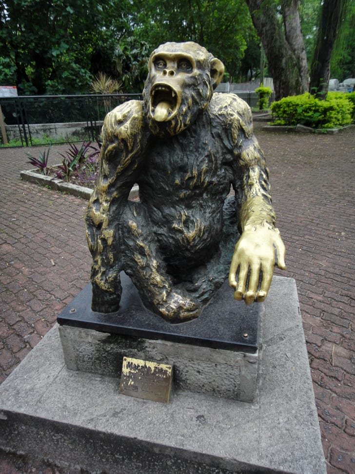 ويكيميديا/ تمثال لماكاكو تياو في حديقة الحيوان في ريو دي جانيرو.