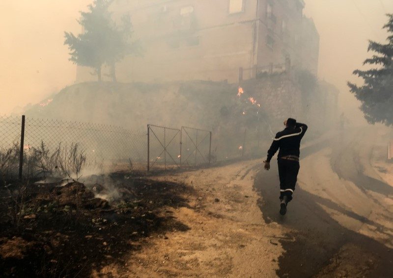 الجزائر حرائق الغابات