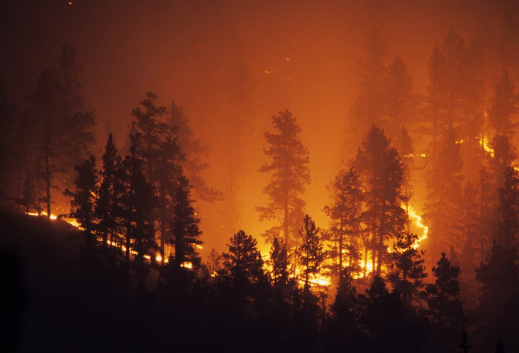 تأثير مشكلة الحرائق الهائلة على المناخ