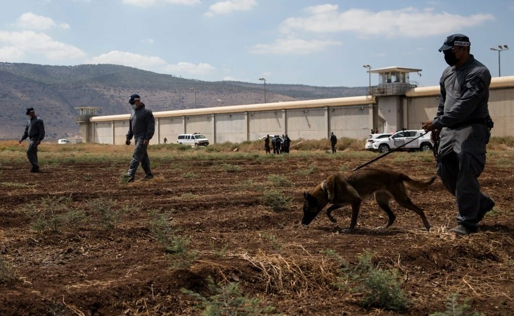 السجناء الفلسطينيين هروب أخبار البلد