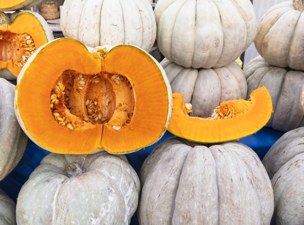 فوائد اليقطين
