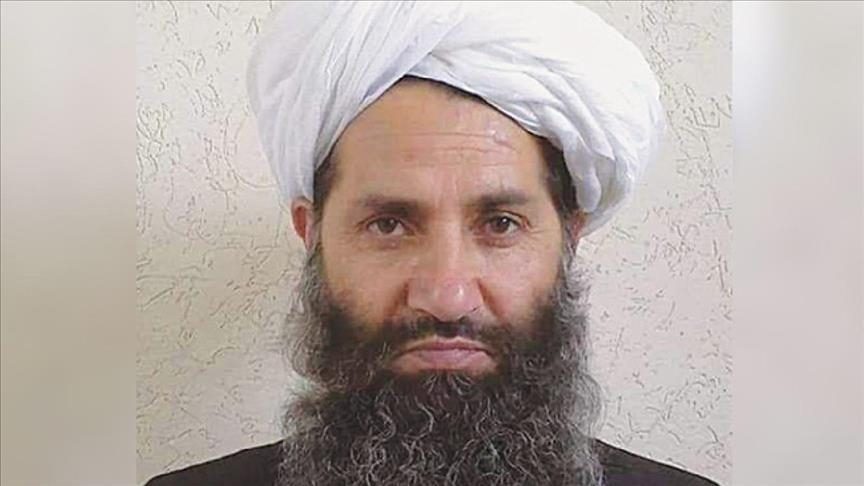 طالبان أفغانستان الزعيم الأعلى لطالبان 