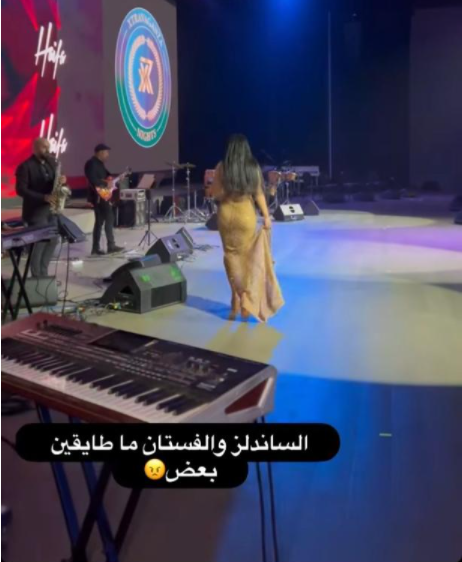 Instagram/تعليق عفوي من هيفاء وهبي بسبب فستانها الطويل