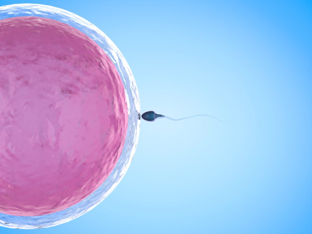 تقنية تجميد البويضات 
