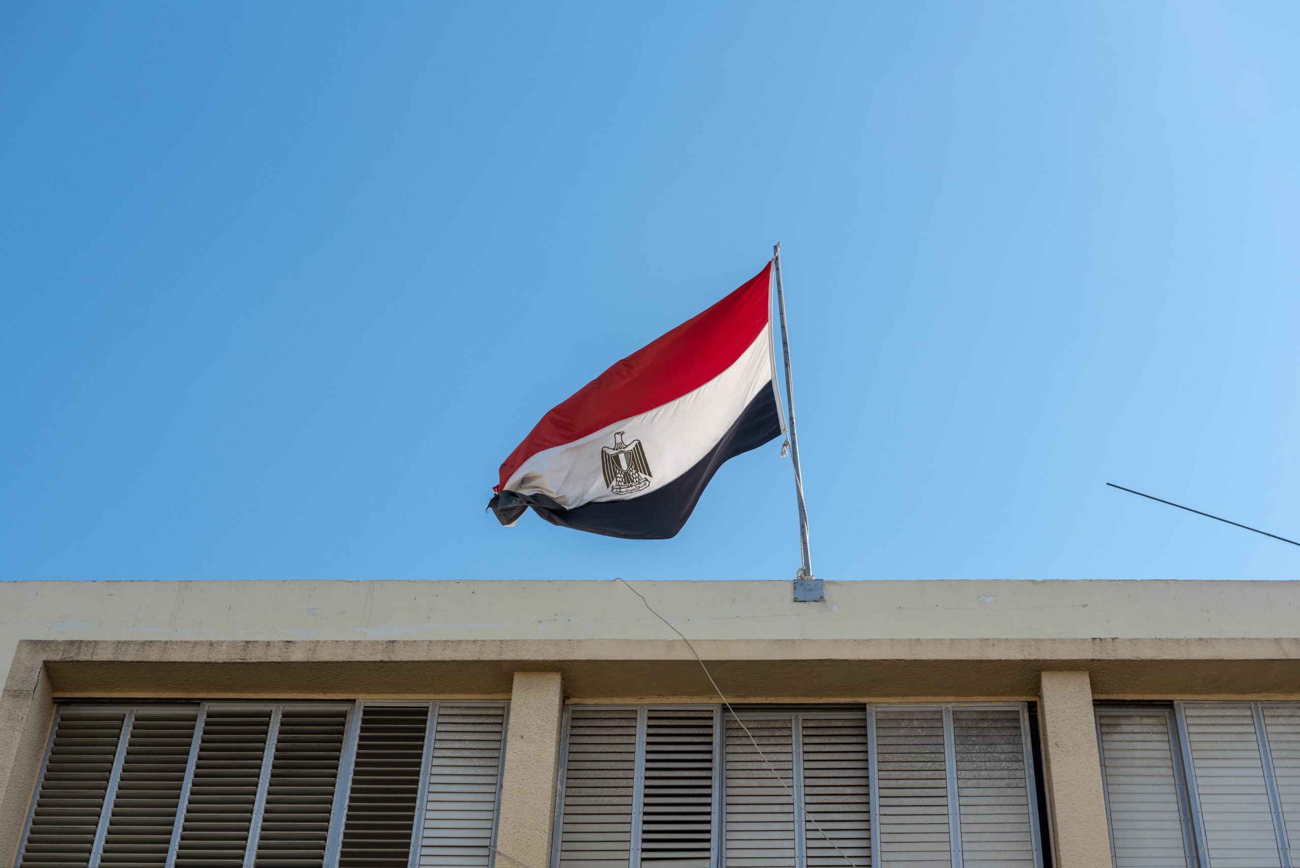 “اهربي بسرعة”! انتشار فيديو للمذيعة شيماء جمال قبل مقتلها تحذر فيه النساء من الصبر على العنف