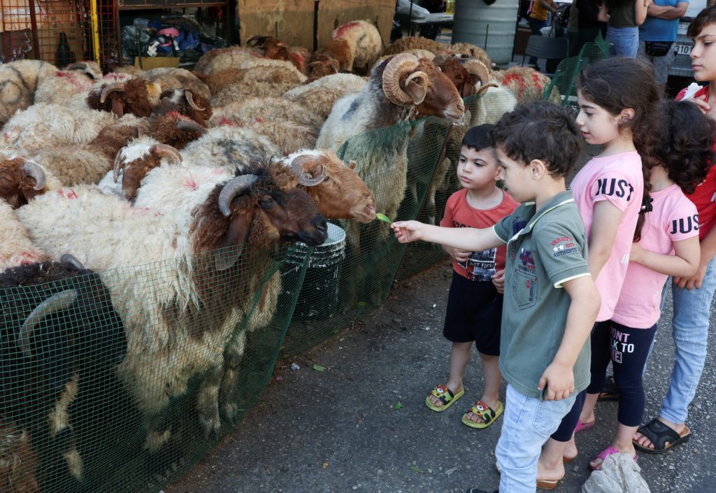 اللحم هذا العيد سيغيب عن السفرة اللبنانية في طرابلس، بسبب الغلاء المخيف وارتفاع الأسعار غير المسبوق