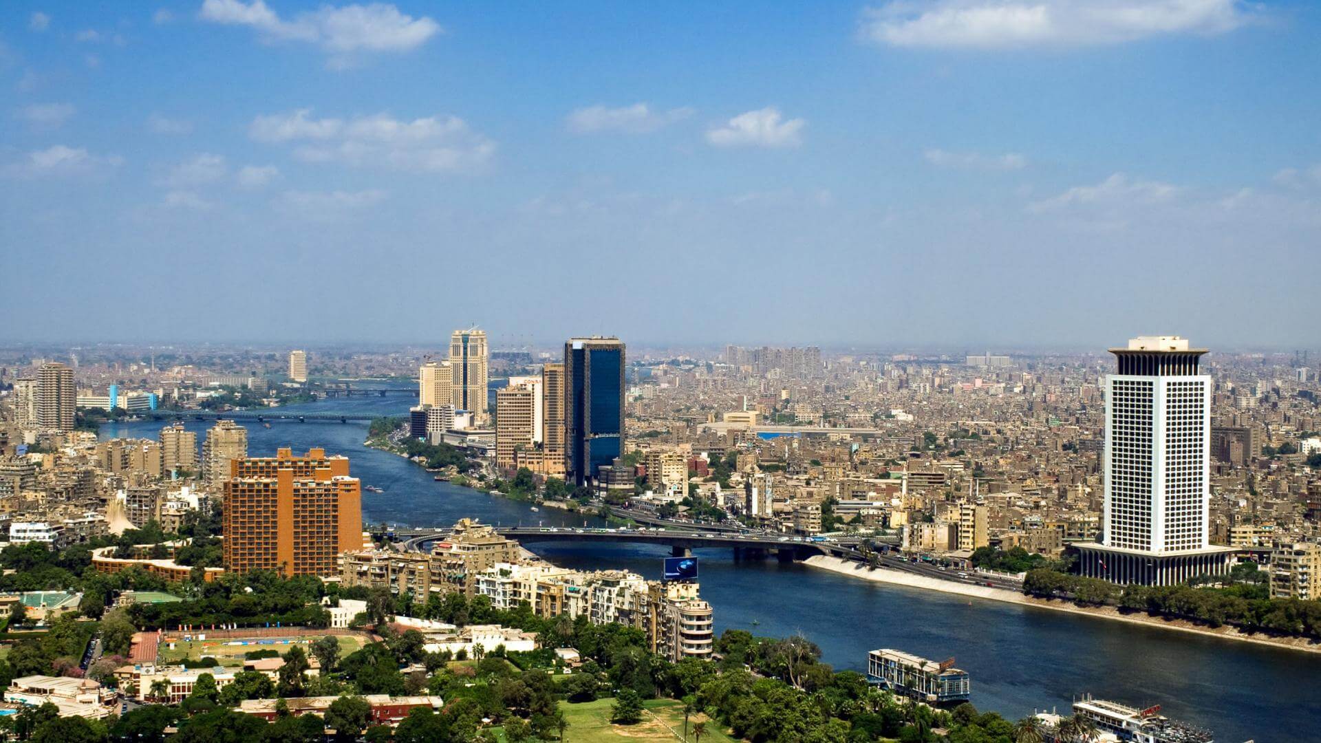 مستقبل حزب حماة الوطن