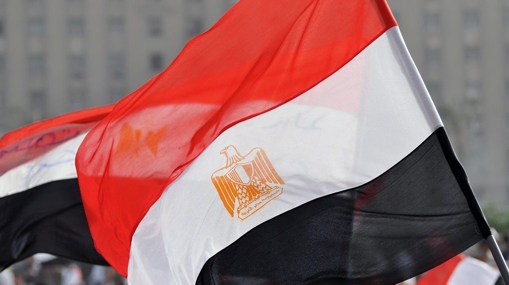 مصر جدري القرود