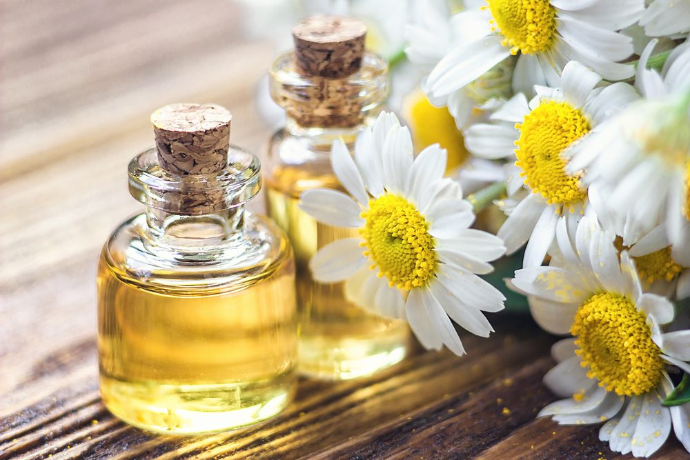 فوائد زيت البابونج عديدة ومتنوعة - ShutterStock