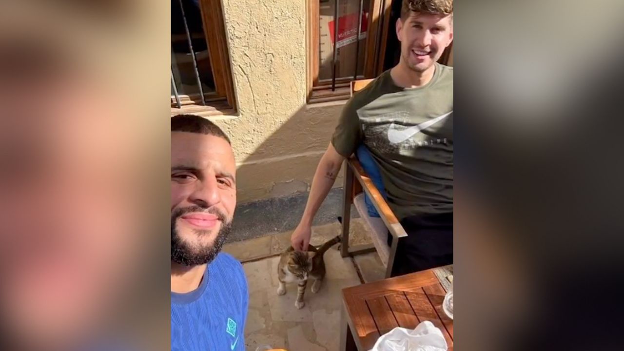 القط ديف مع لاعبي منتخب إنجلترا لكرة القدم كايل ووكر وجون ستونز<br>