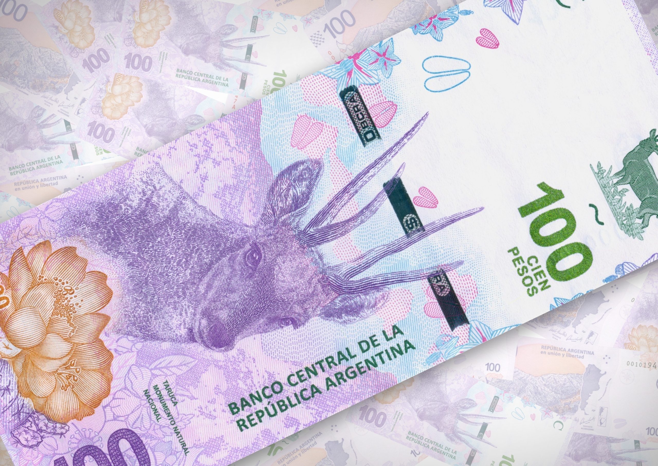 Shutter Stock/ عملة 100 بيزو أرجنتيني