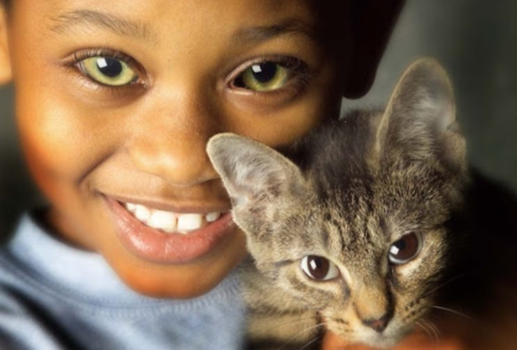 متلازمة عين القط| مواقع التواصل