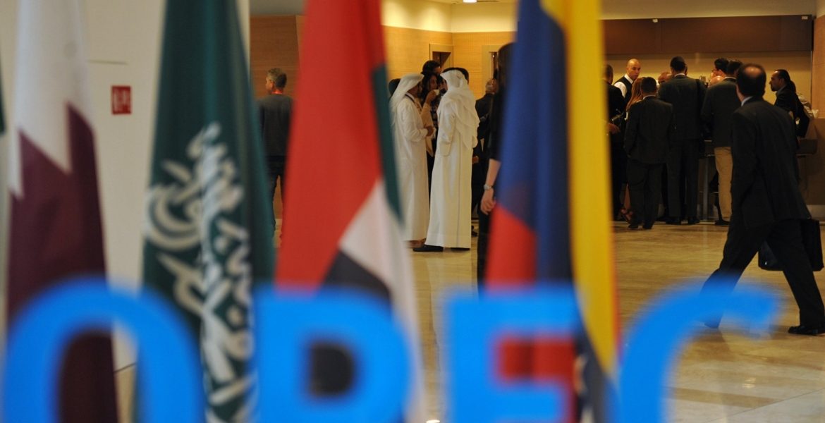 منظمة 