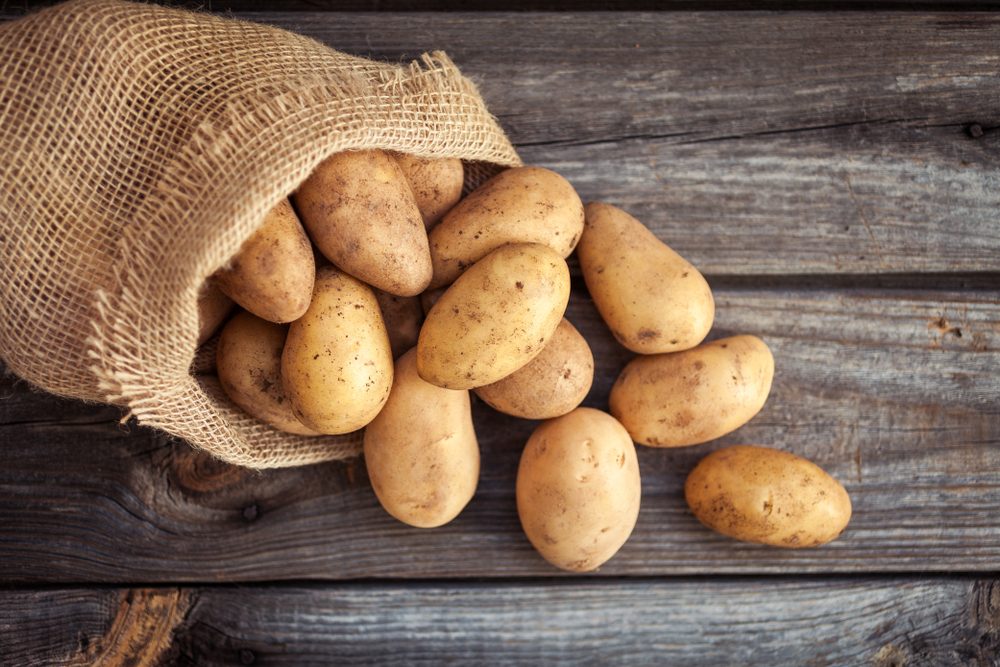 بدأت قصة البطاطا منذ نحو 350 مليون سنة/ Shutterstock