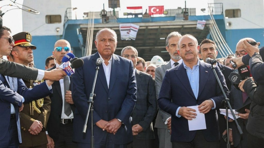 وزيرا خارجية مصر وتركيا سامح شكري وجاويش أوغلو (وزارة الخارجية التركية/تويتر)