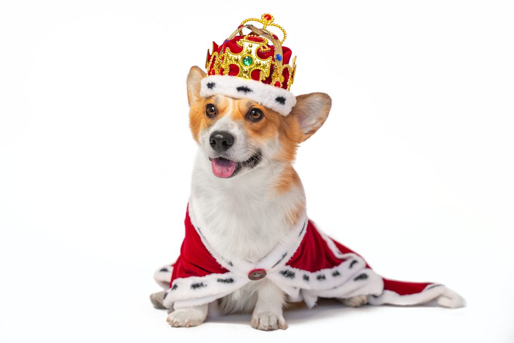 shutterstock\ غونتر \ صورة تعبيرية
