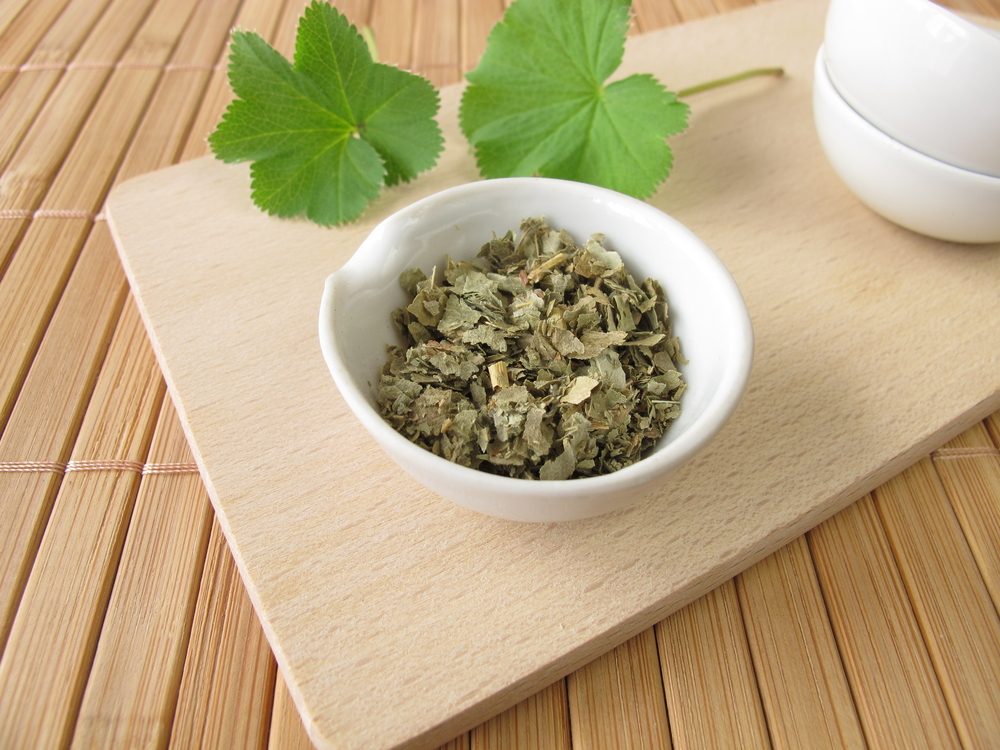 نبتة عباءة السيدة مجففة | shutterstock