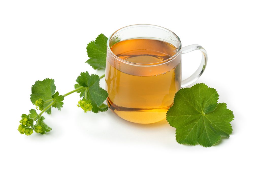 شاي نبتة عباءة السيدة| shutterstock