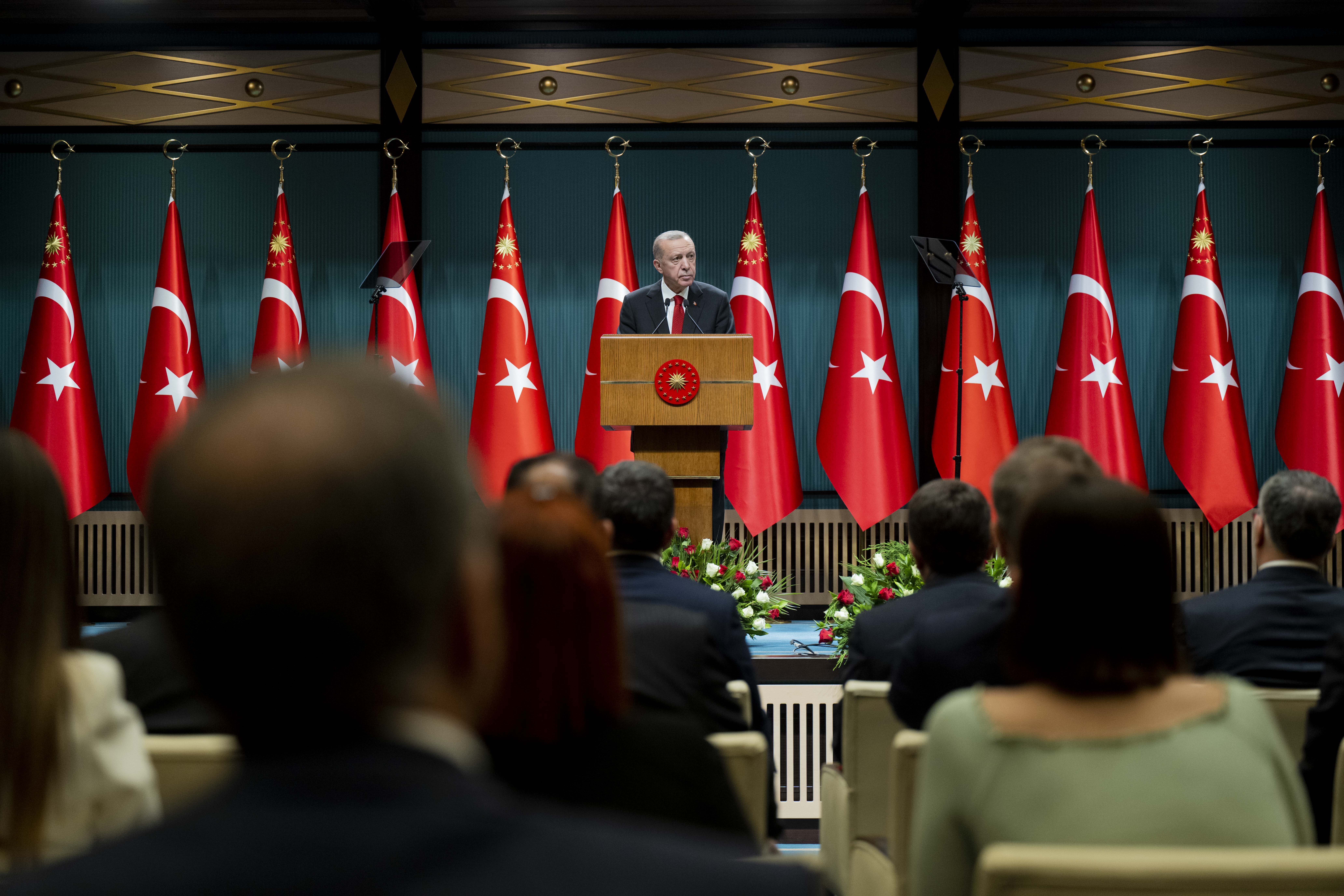 الرئيس التركي رجب طيب أردوغان / الأناضول