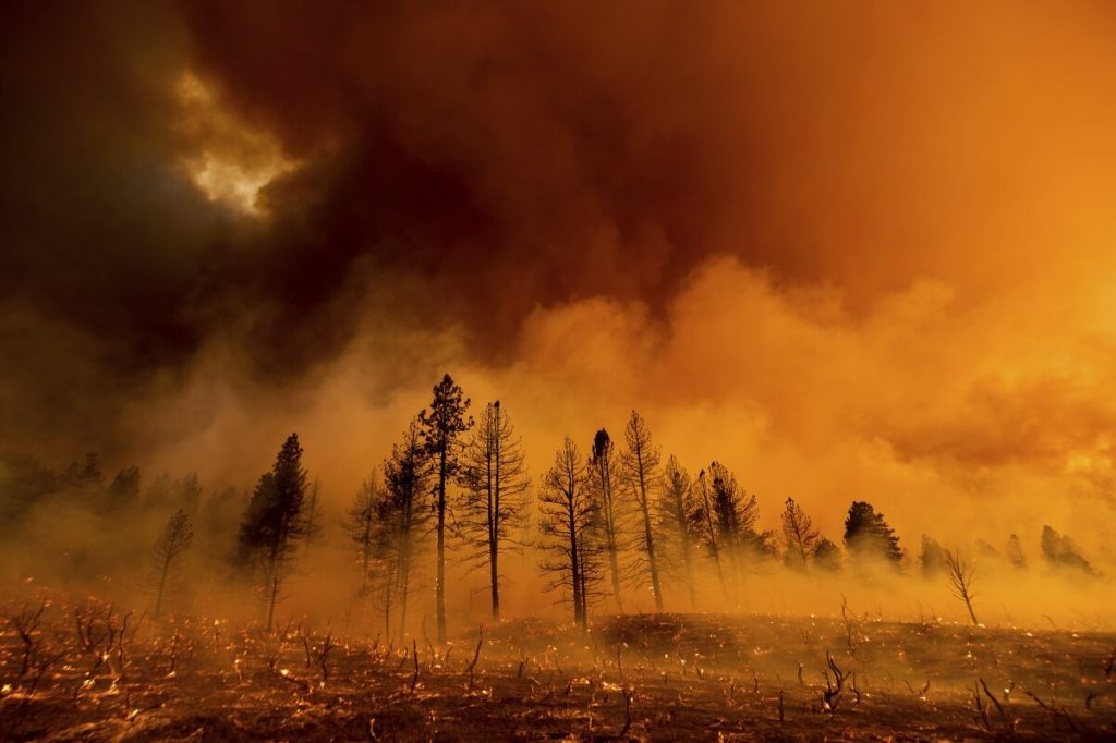 حرائق الغابات في كندا، حزيران 2023/ رويترز