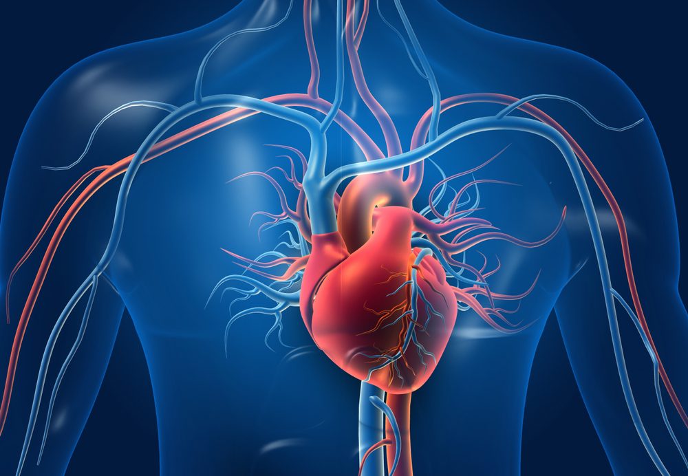 تحدث الحالة نتيجة قلة كمية الدم التي يضخها القلب - Shutterstock