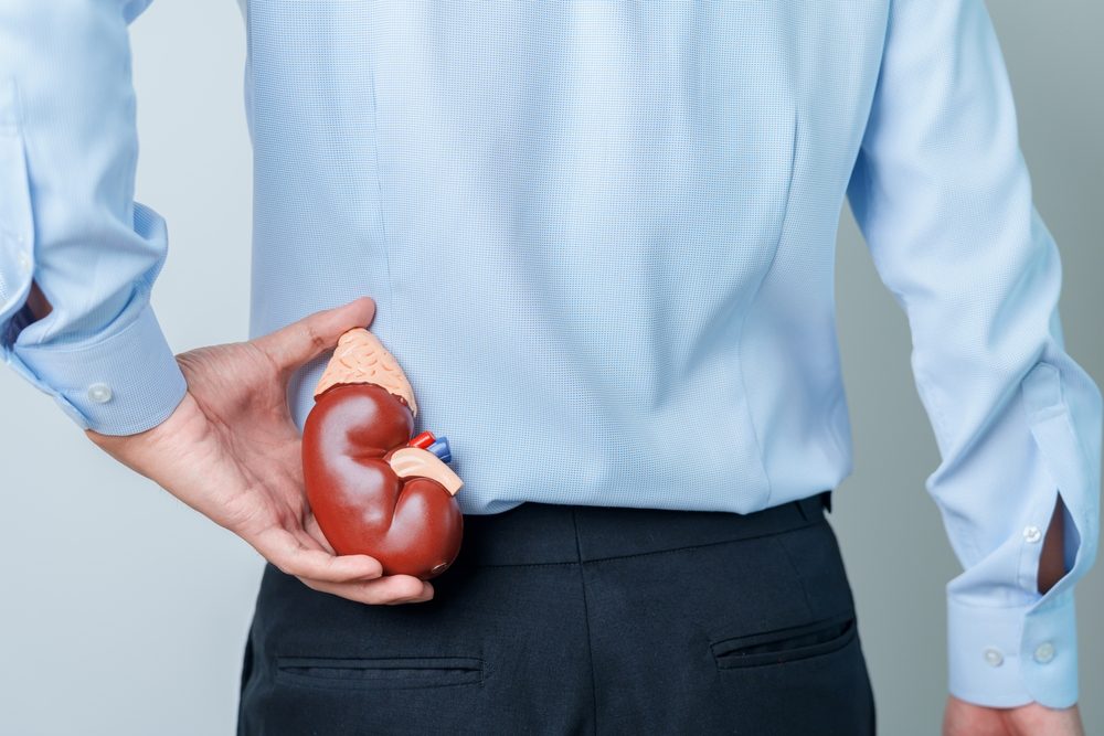 تعمل الغدد الكظرية على إنتاج الهرمونات الضرورية لوظائف الجسم - ShutterStock