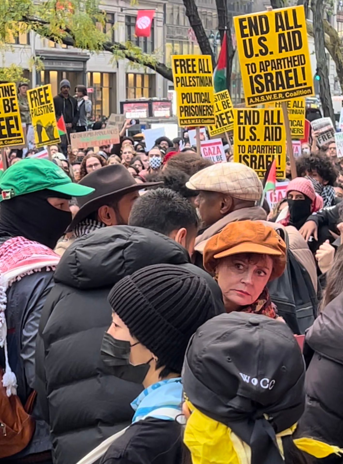 ساراندون خلال مشاركتها في تظاهرة نيويورك دعماً لفلسطين/ الصورة من تويتر