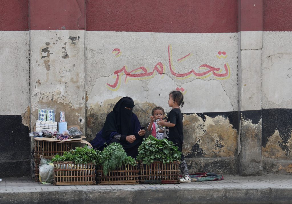 انخفاض أعداد المواليد في مصر