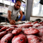 تصاعد حملة مقاطعة شراء الأسماك في مصر.. من يتحمل مسؤولية ارتفاع أسعارها، الصيادون والتجار أم الحكومة؟