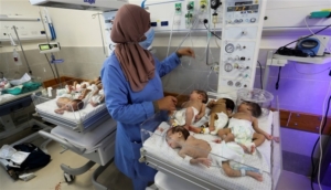 مأساة الخدج في غزة.. 5 مواليد في حاضنة واحدة ورئيس قسم أطفال المستشفى الأوروبي يكشف لـ”عربي بوست” تجاوزات الاحتلال